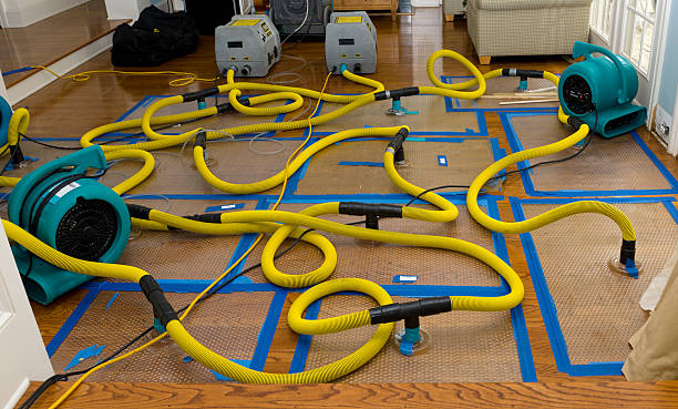 Professional Water Damage Repair technician working in Lusby, MD